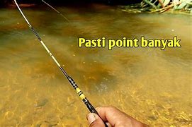 Mancing Ikan Wader Di Sungai Kecil